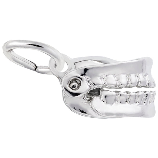 Medical False Teeth Charm for Dental Professionals & Collectors 0642