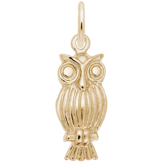 Screech Owl Charm - Unique Animal Pendant for Pet Lovers 0890