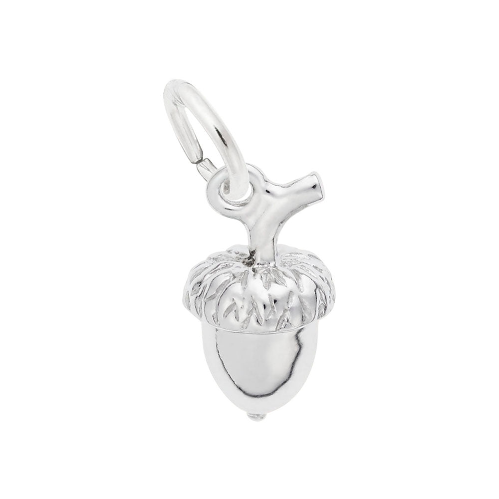 Acorn Accent Charm for Fall - Nature-Inspired Jewelry Piece 0993