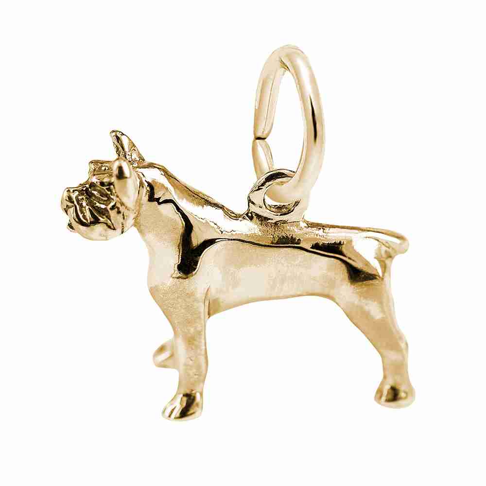 Adorable Pitbull Dog Charm - Perfect Gift for Dog Lovers 1003