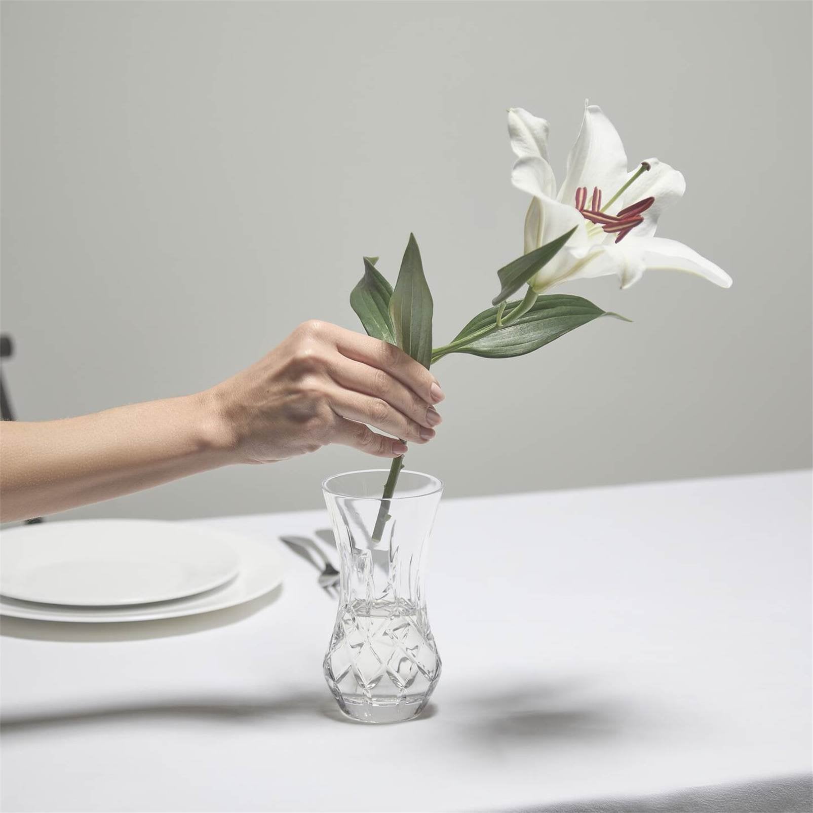 Water Ford Lismore Bon Bon Vase 6in 1058331