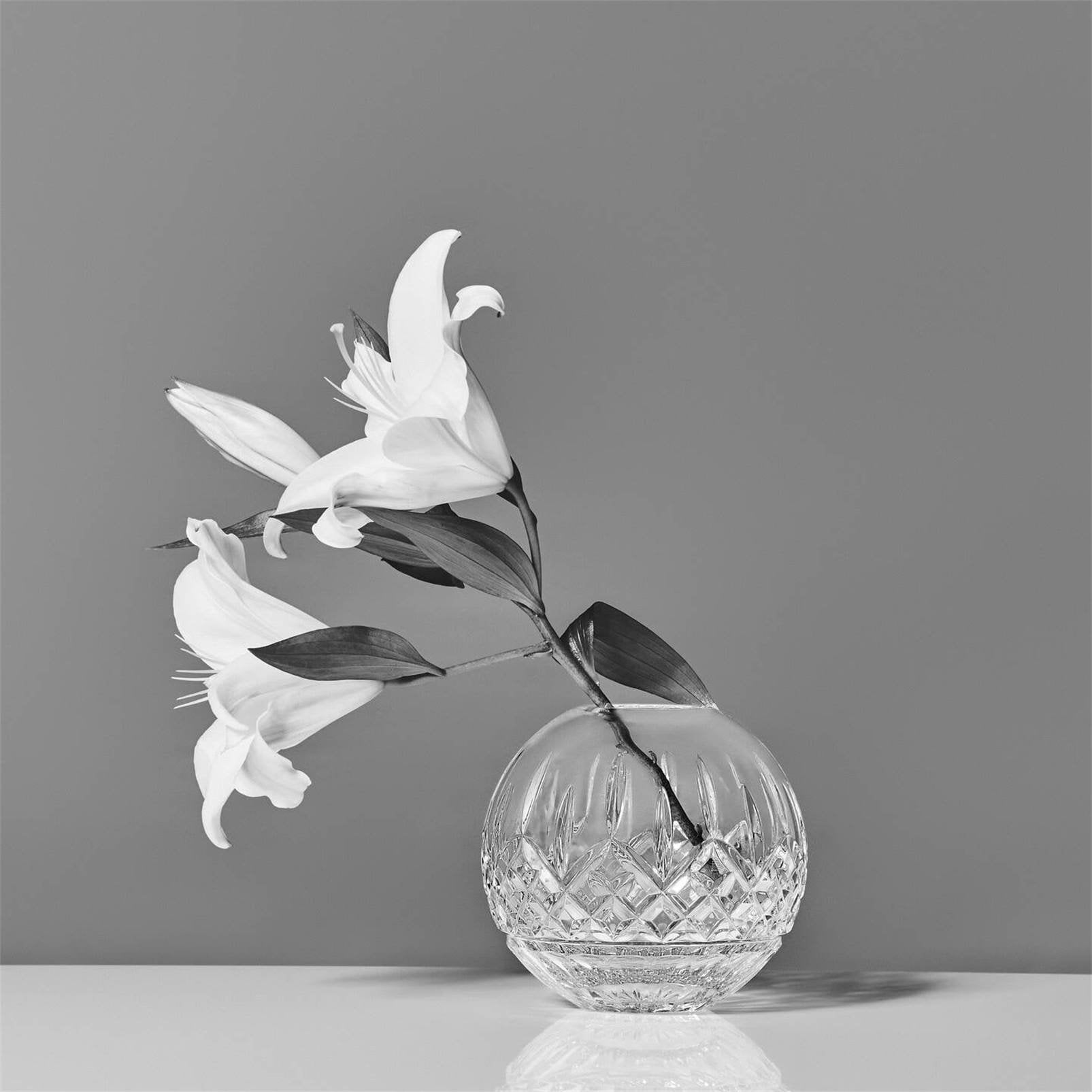 Water Ford Rose Bowl 6in 1070372