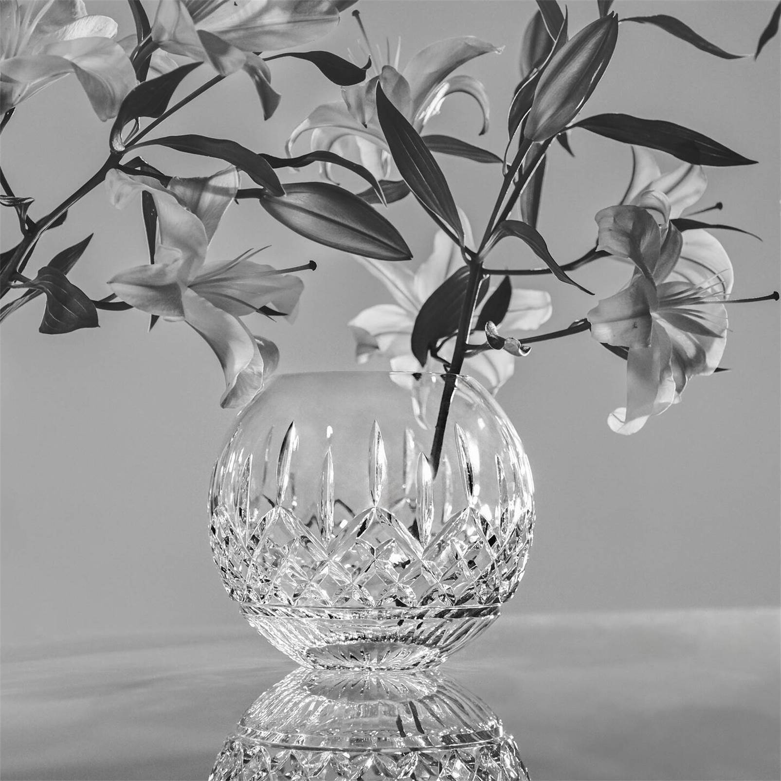 Water Ford Rose Bowl 8in 1070373