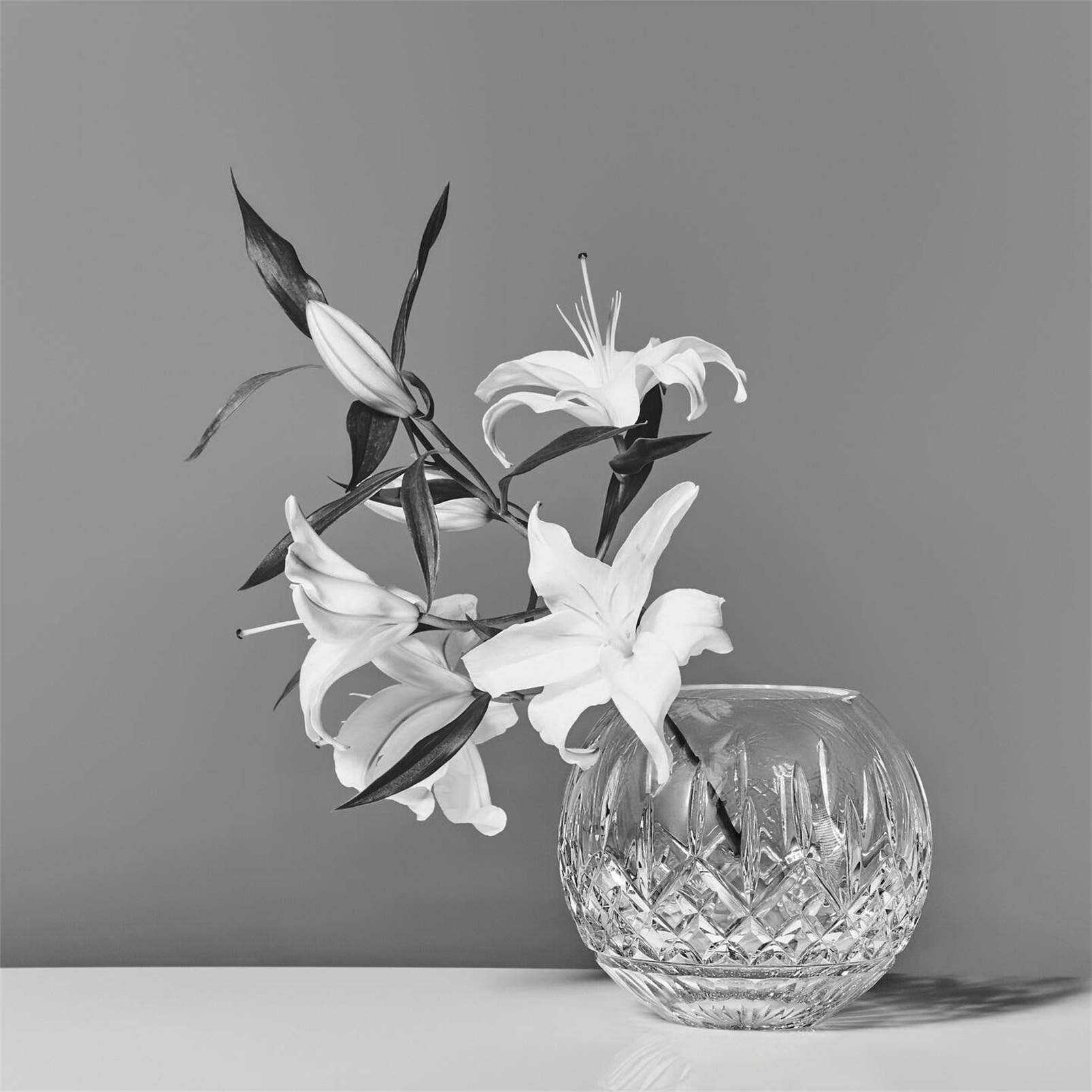 Water Ford Rose Bowl 8in 1070373