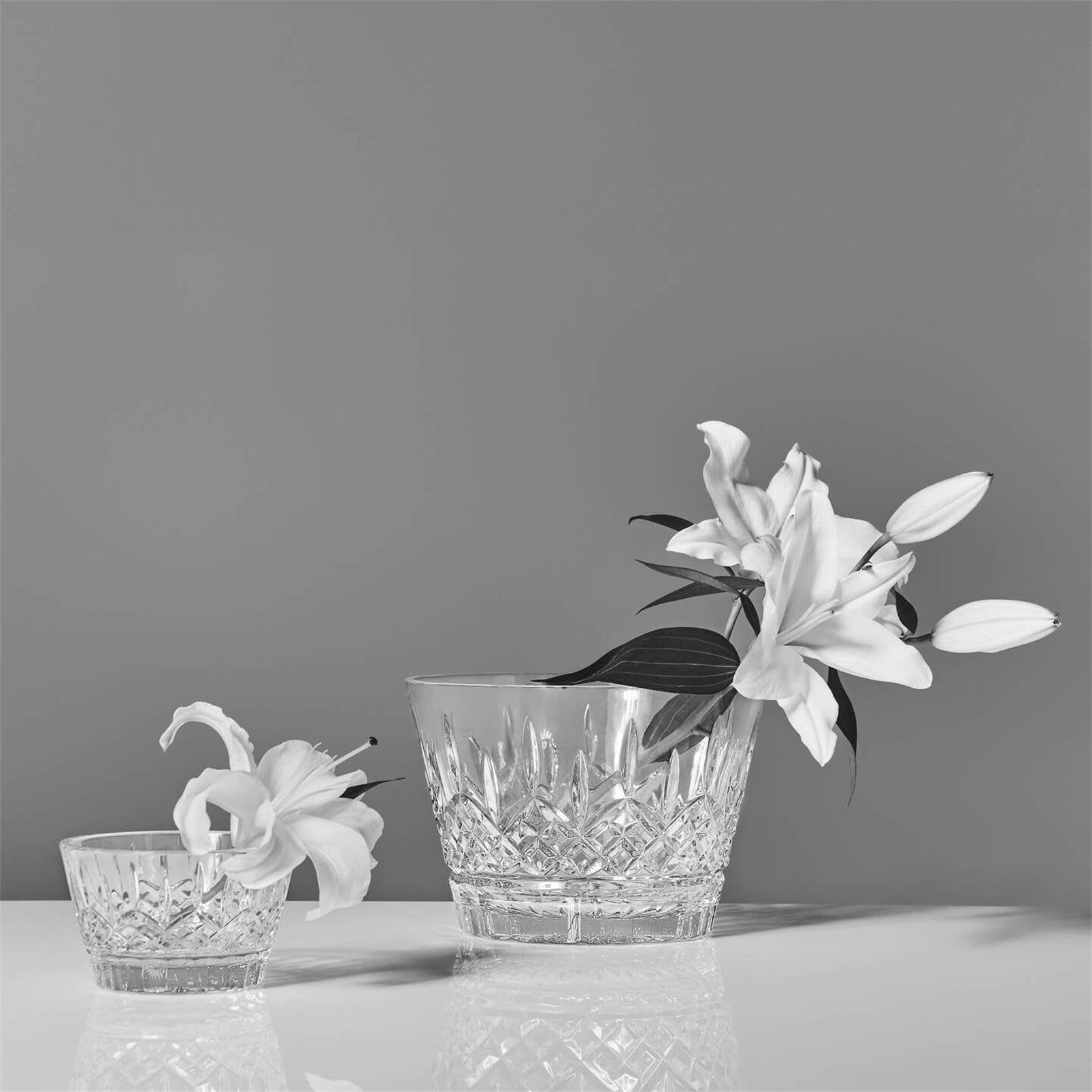 Water Ford Bowl 5in 1070374