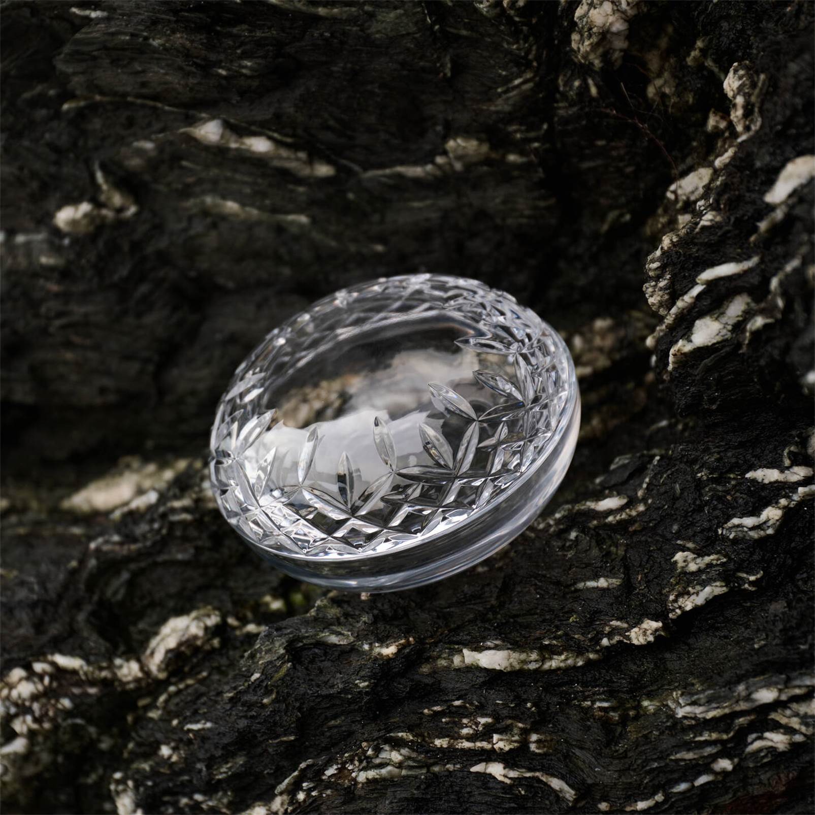 Water Ford Covered Box 5in 1071611