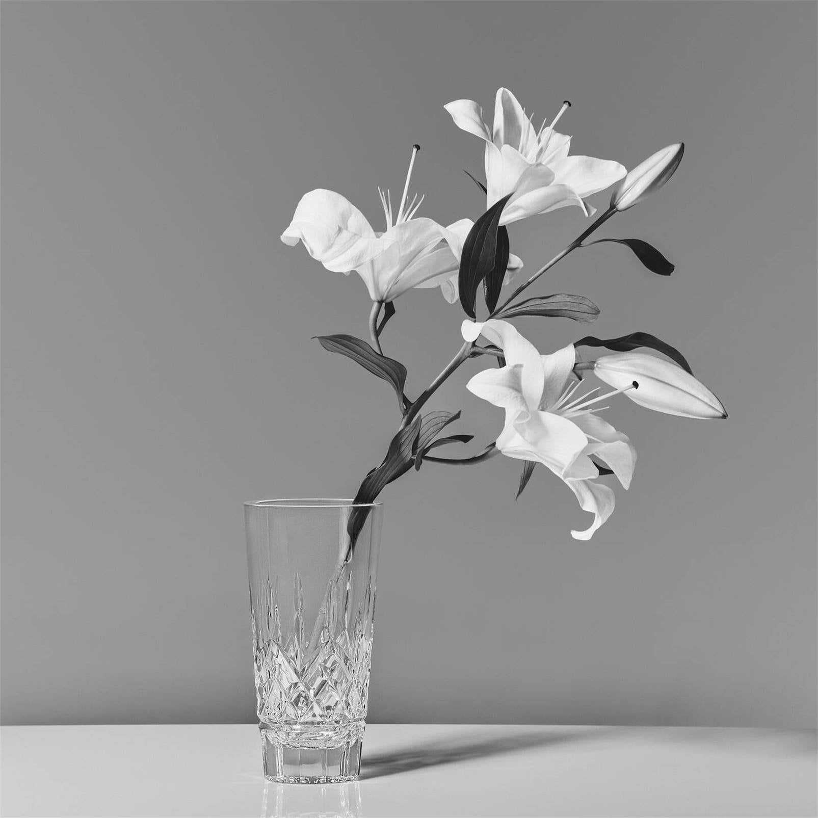 Water Ford Vase 8in 1072113