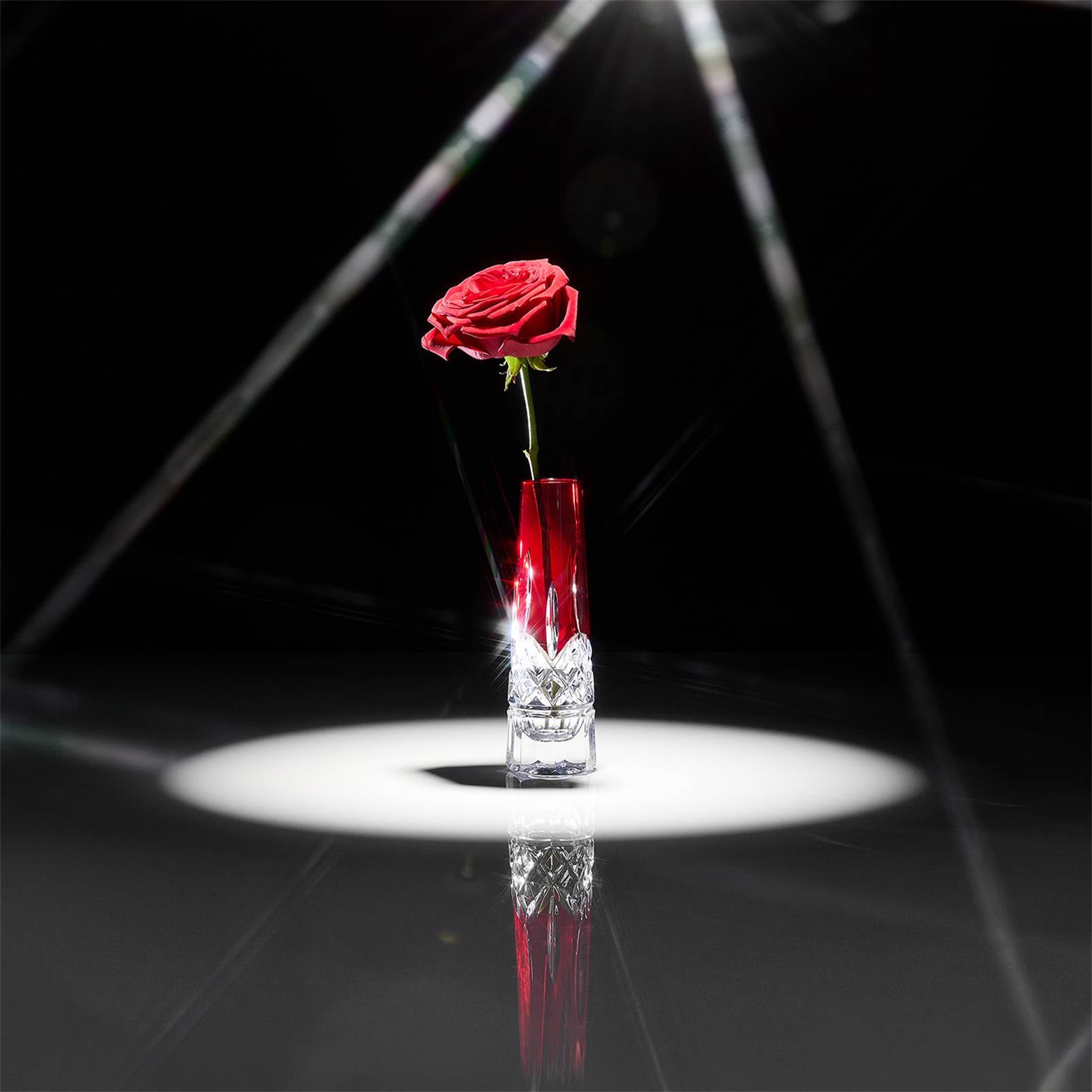 Water Ford Bud Vase 7in 1078639