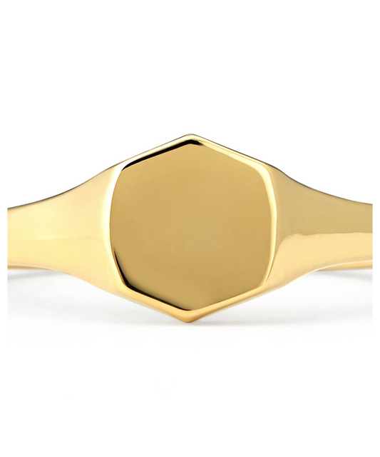 Davis Signet Ring in Sterling Silver & 18k Gold Vermeil