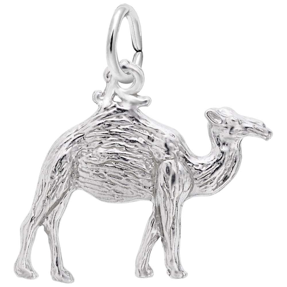 Exquisite Camel Charm for Travel Lovers - Unique International Souvenir 1163