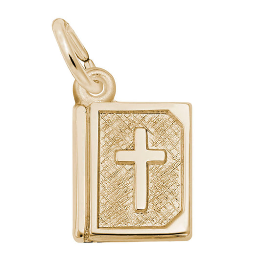 Bible Accent Charm for Special Occasions - Rembrandt Charms 1228