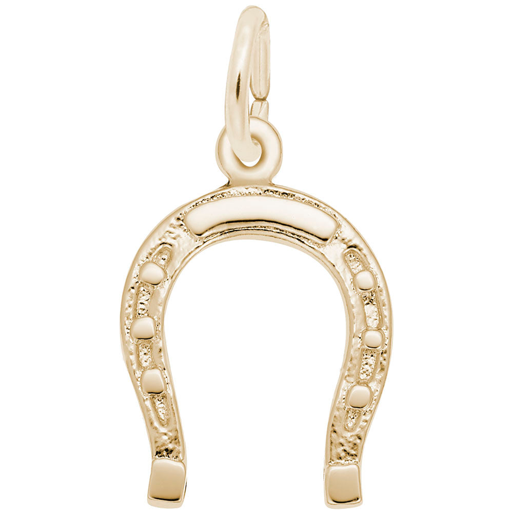 Good Luck Horseshoe Charm for Gamers - Rembrandt Charms 1358