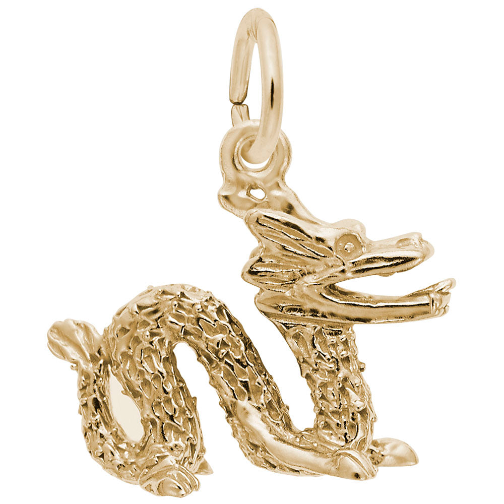 Chinese Serpent Dragon Charm - Mythical Animal Jewelry Accessory 1518