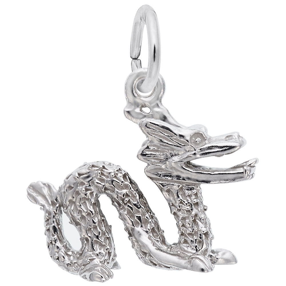 Chinese Serpent Dragon Charm - Mythical Animal Jewelry Accessory 1518