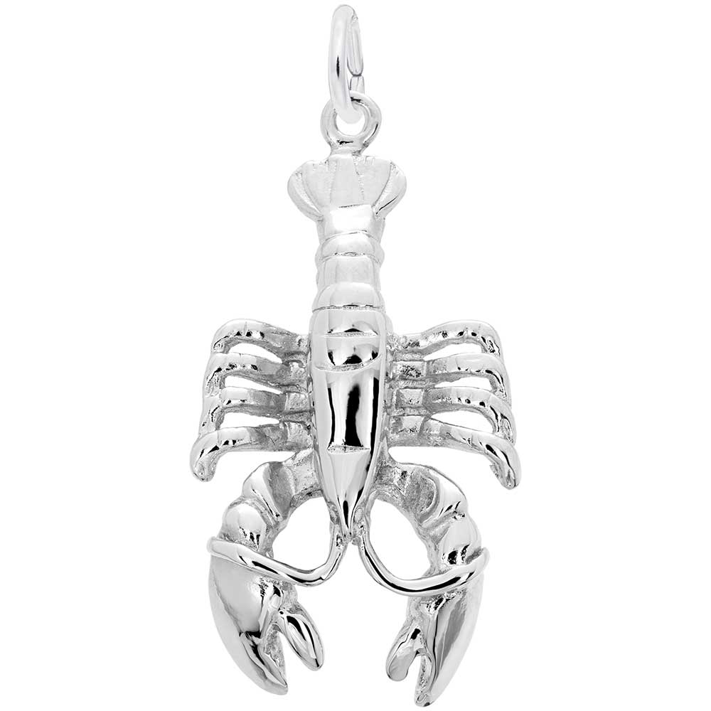 Large Lobster Charm - Unique Sea Life Jewelry for Ocean Lovers 1545