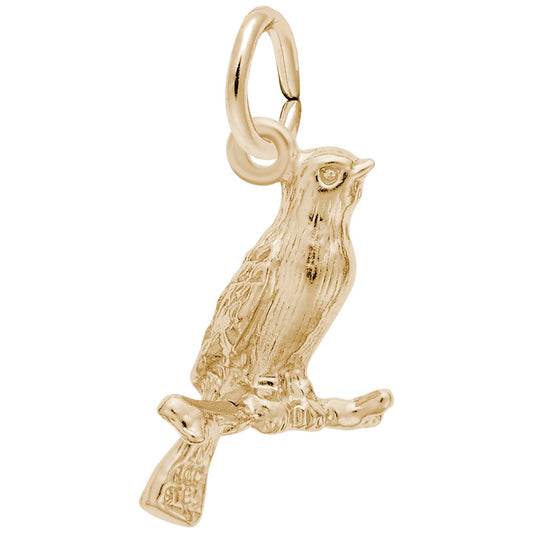 Delicate Canary Charm for Bird Lovers - Perfect Gift & Accessory 1611