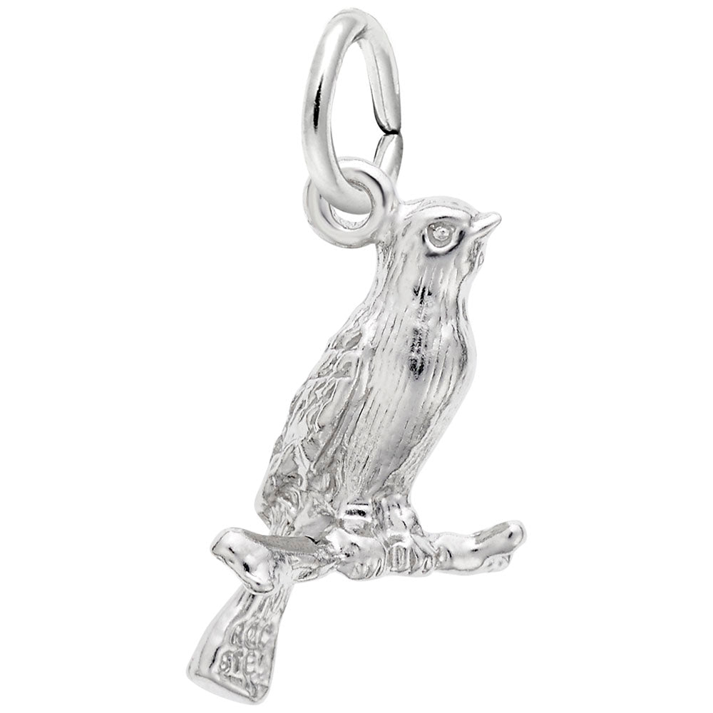 Delicate Canary Charm for Bird Lovers - Perfect Gift & Accessory 1611