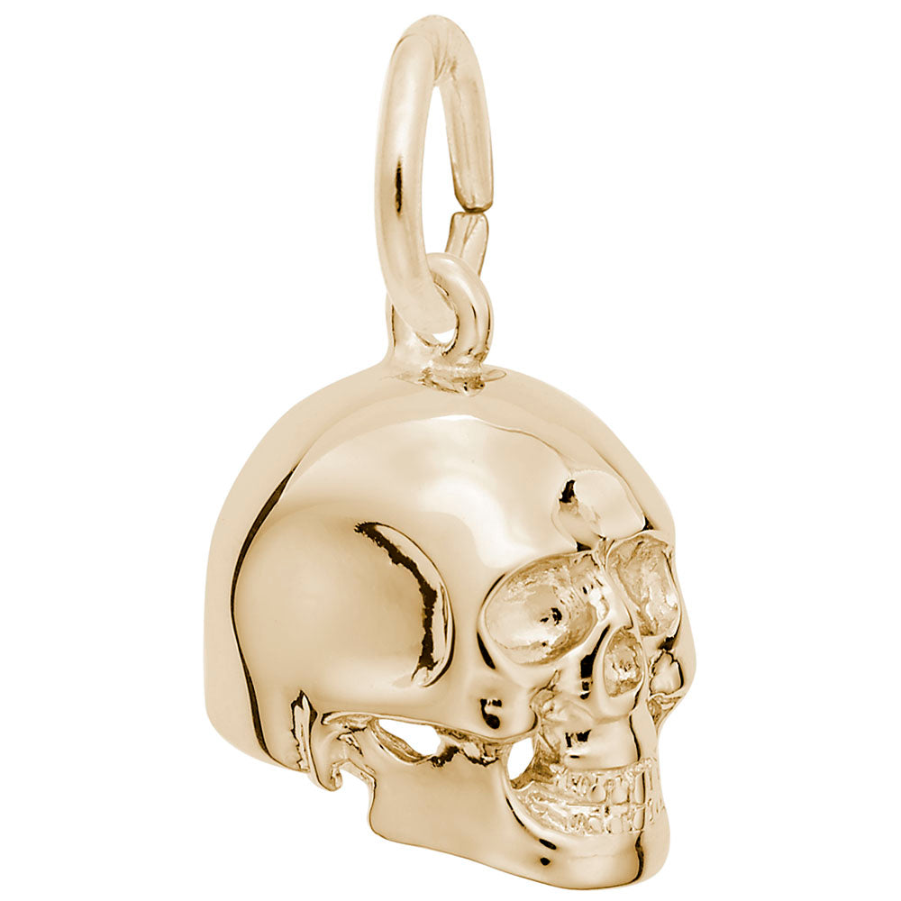 Medical Skull Charm for Healthcare Professionals & Collectors 1619
