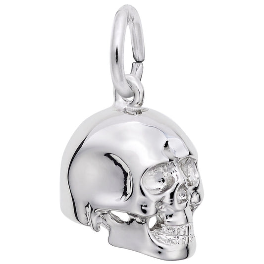 Medical Skull Charm for Healthcare Professionals & Collectors 1619
