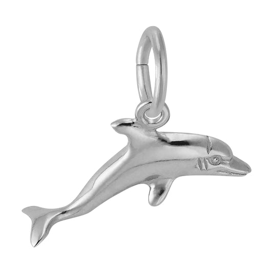 Dolphin Charm
