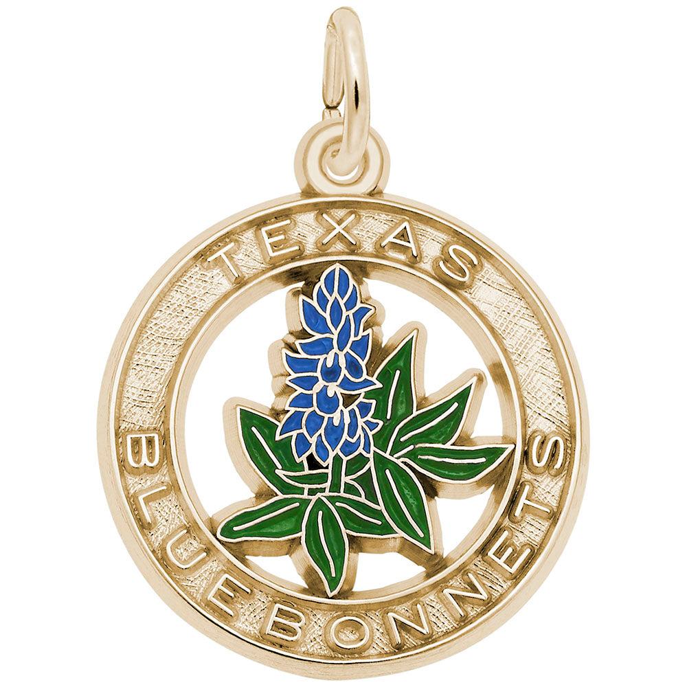 Texas Bluebonnets Charm - Travel Souvenir for Nature Lovers 1649
