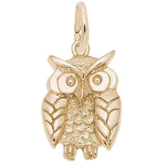 Wise Owl Graduation Charm - Celebrate Achievements with Style 1673