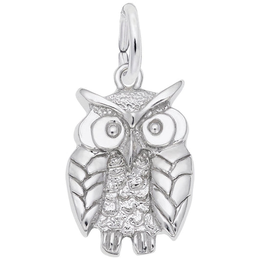 Wise Owl Graduation Charm - Celebrate Achievements with Style 1673
