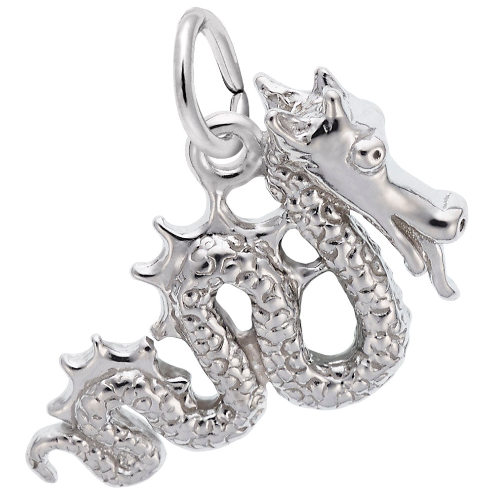 Serpent Dragon Charm - Enchanting Mythical Creature Jewelry 1692