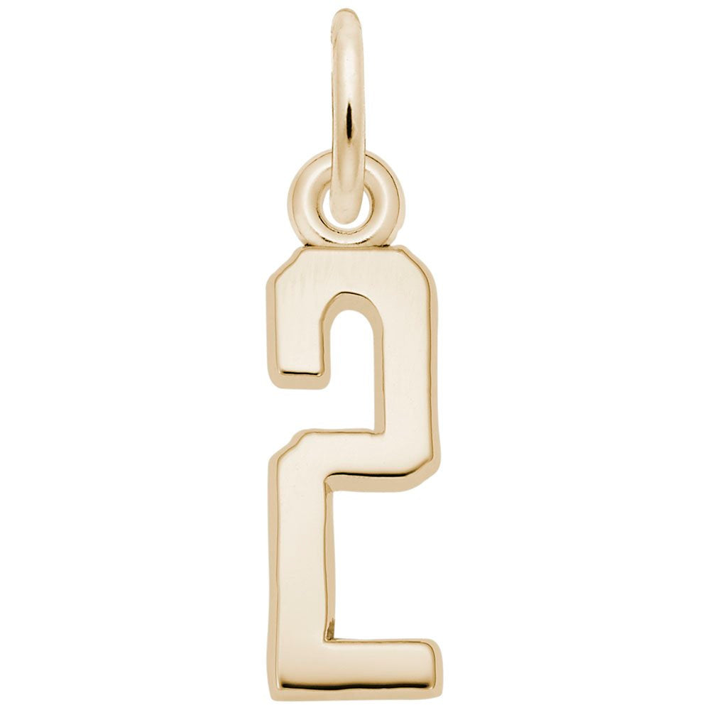 Personalized That's My Number 2 Charm - Customizable Jewelry Gift 1761-002