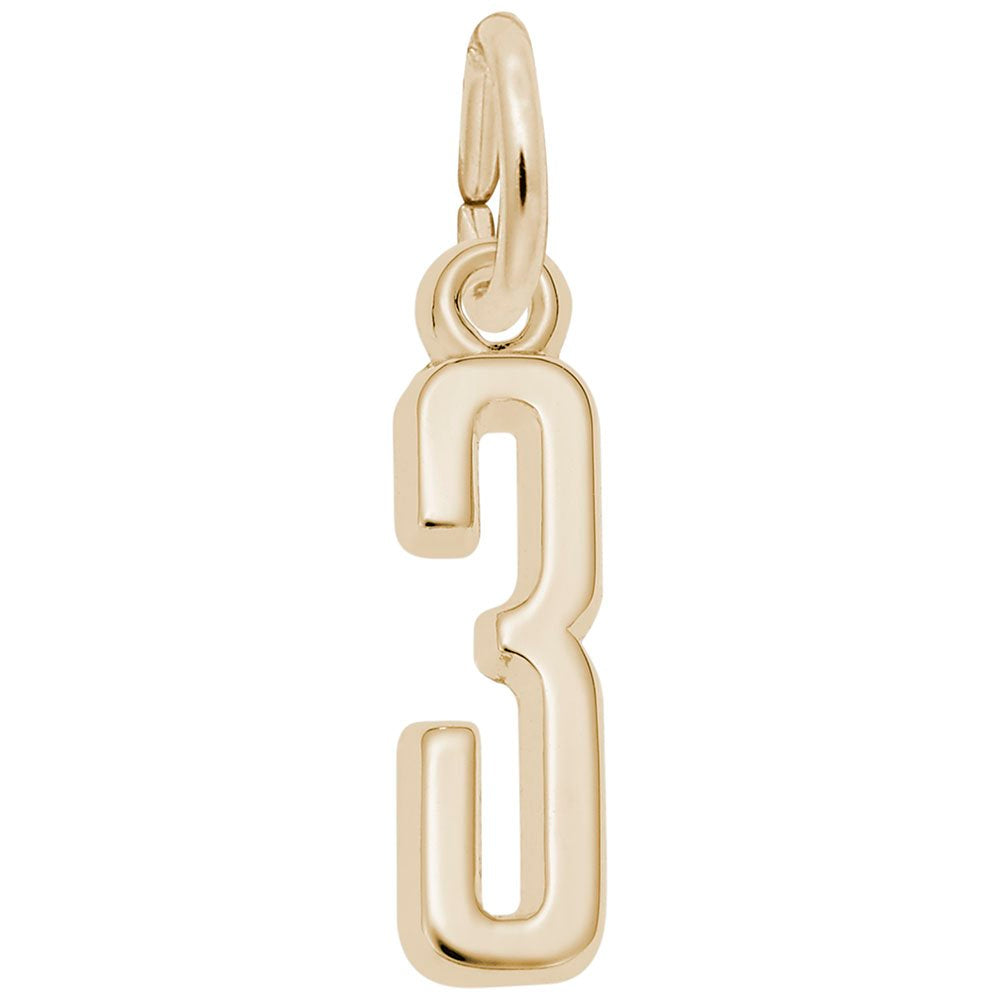 Personalized 'That's My Number 3' Charm for Unique Jewelry Style 1761-003