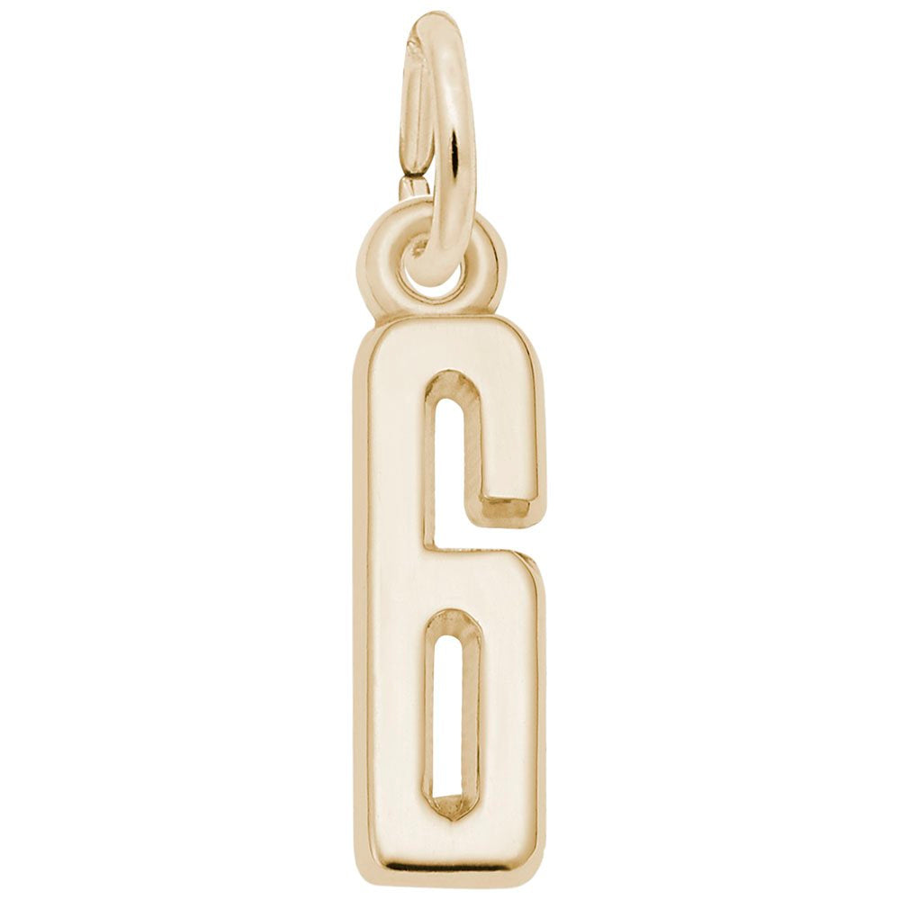 Personalized 'That's My Number 6' Charm for Unique Jewelry Style 1761-006