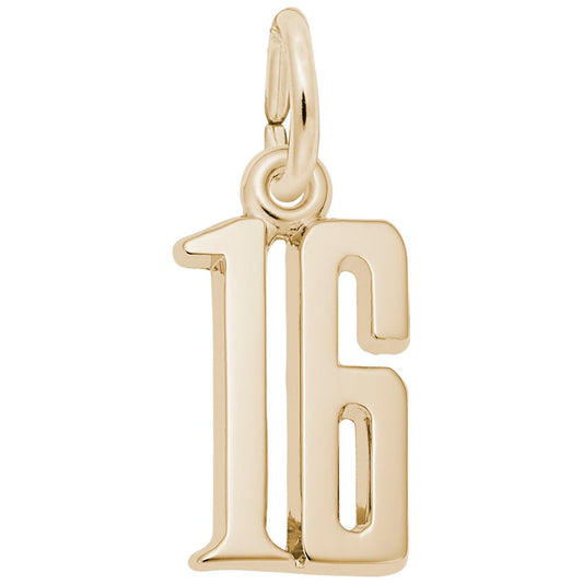 Personalized That's My Number 16 Charm - Customizable Jewelry 1762-016