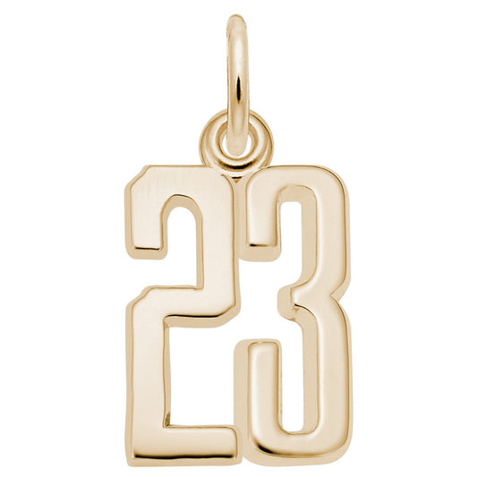 Personalized 'That's My Number 23' Charm for Unique Jewelry 1762-023