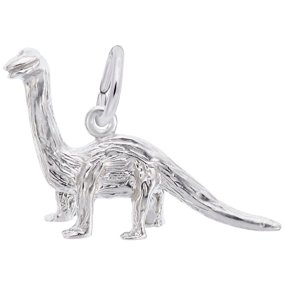 Brontosaurus Charm for Dinosaur Lovers - Unique Pet Jewelry 1780