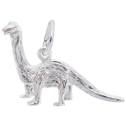 Brontosaurus Charm for Dinosaur Lovers - Unique Pet Jewelry 1780