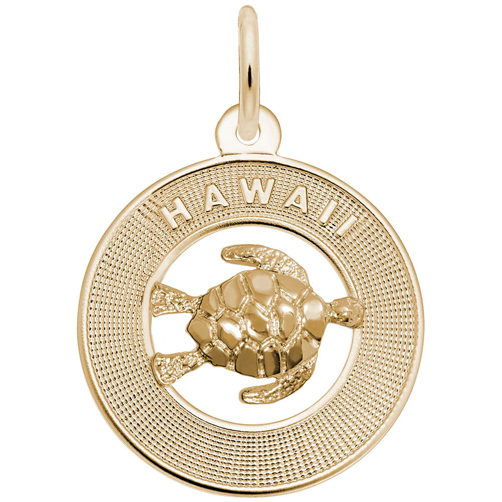 Hawaii Turtle Charm - Travel Souvenir for Ocean Lovers 1853