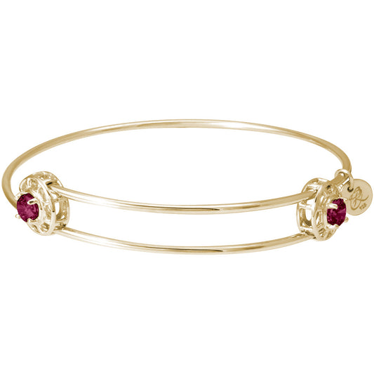 Insightful Bangle - January Rhodium Plated Sterling Silver