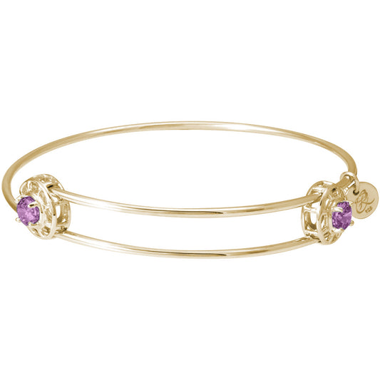 Insightful Bangle - February Rhodium Plated Sterling Silver