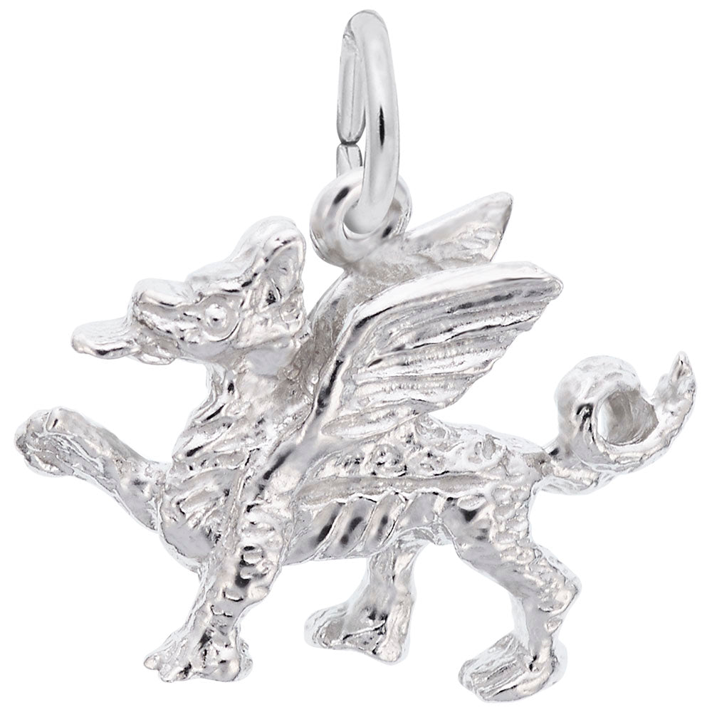 Enchanting Griffin Charm for Animal Lovers - Unique Jewelry Gift 2068