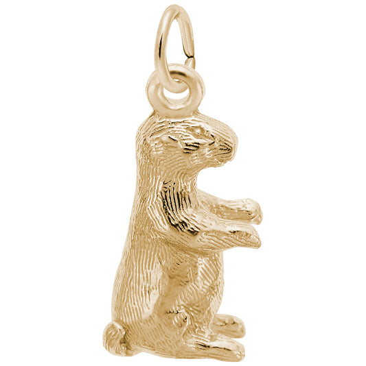 Spring Groundhog Charm - Celebrate Nature's Awakening in Style 2078