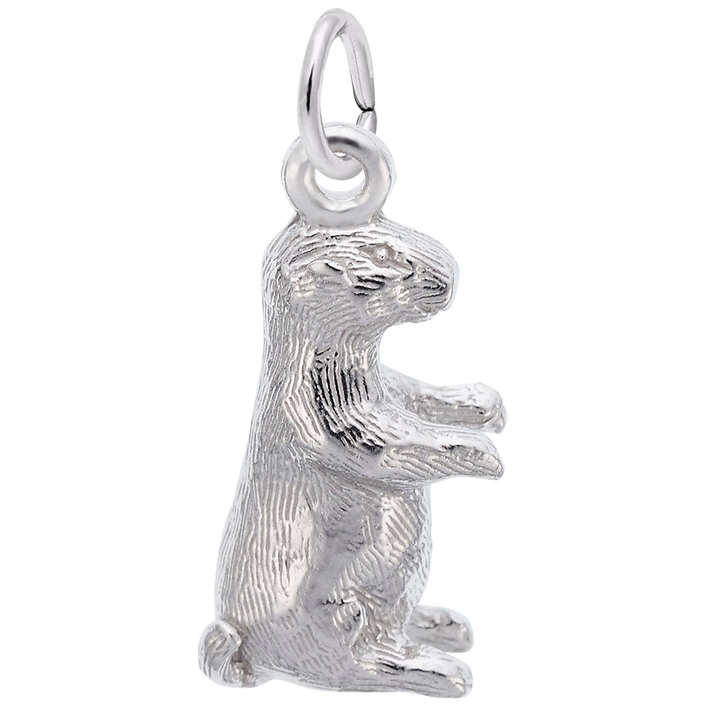 Spring Groundhog Charm - Celebrate Nature's Awakening in Style 2078