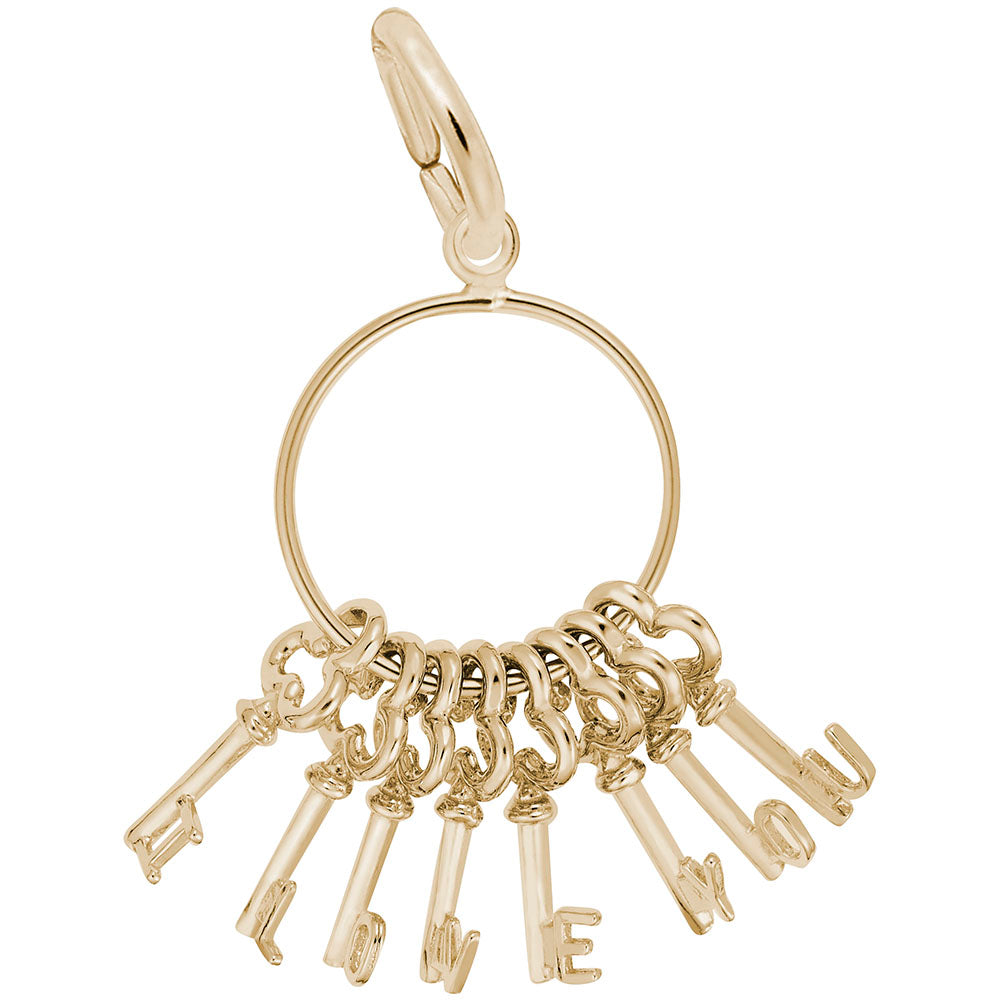 I Love You Skeleton Key Ring Charm for Valentine's Day Gift 2248