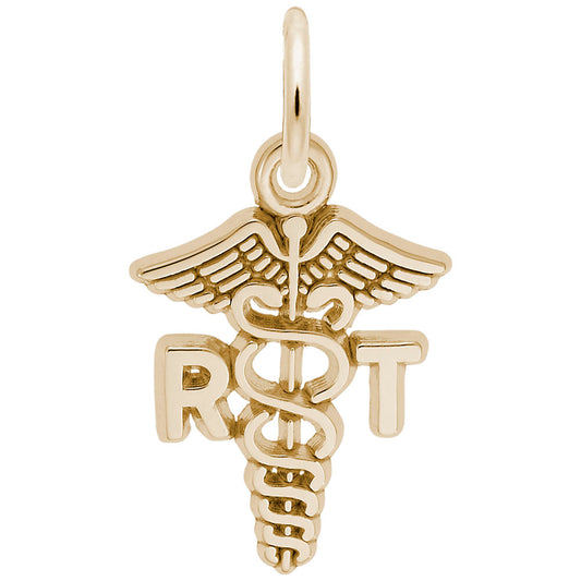 Sterling Silver Caduceus Charm for Medical Professionals & Students 2278