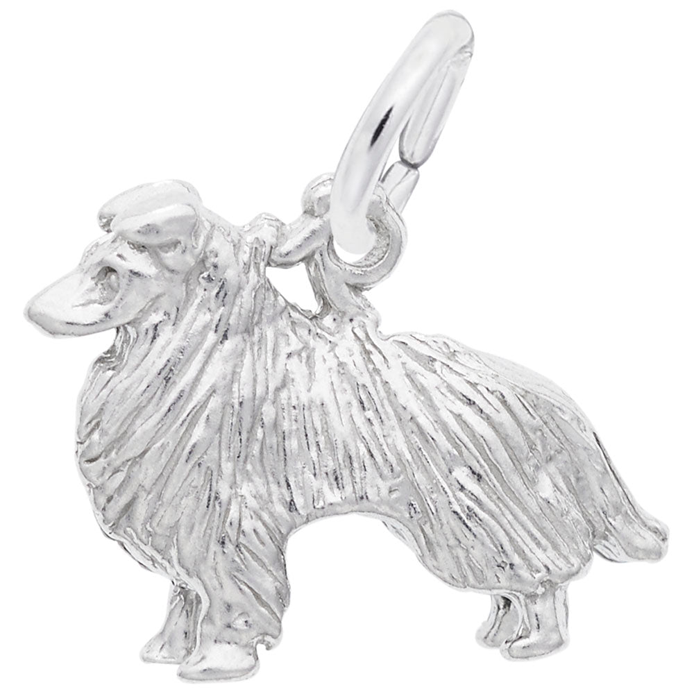 Collie Dog Charm - Adorable Pet Jewelry for Dog Lovers 2403