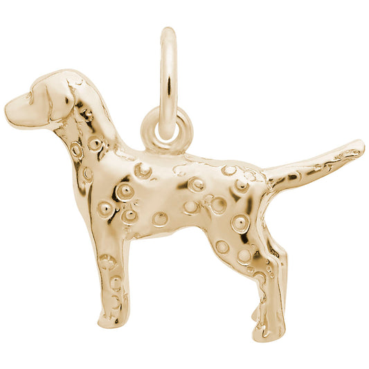 Charming Dalmatian Dog Charm for Pet Lovers - Unique Gift Idea 2405