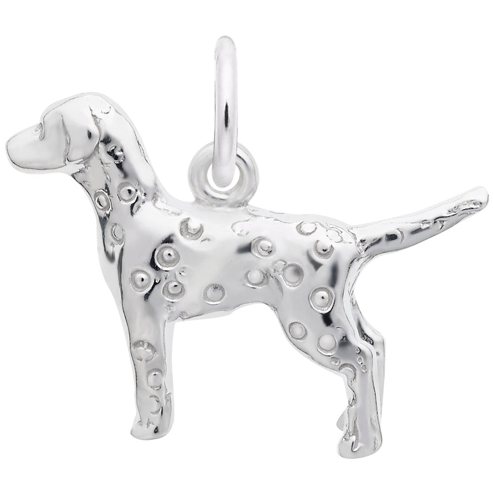 Charming Dalmatian Dog Charm for Pet Lovers - Unique Gift Idea 2405