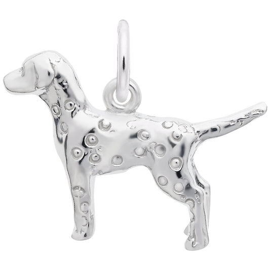 Charming Dalmatian Dog Charm for Pet Lovers - Unique Gift Idea 2405