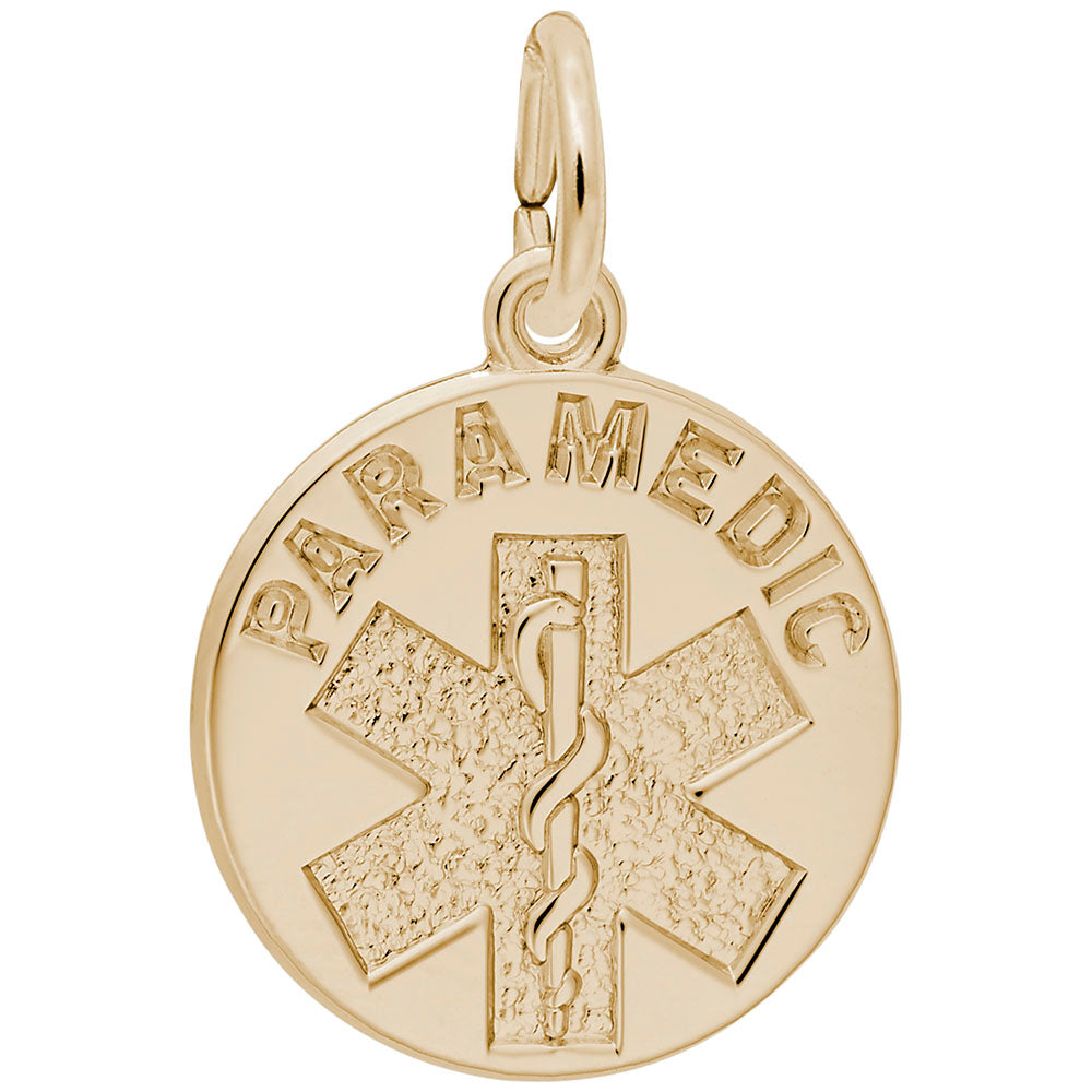 Paramedic Disc Charm - Perfect Gift for Medical Professionals 2410