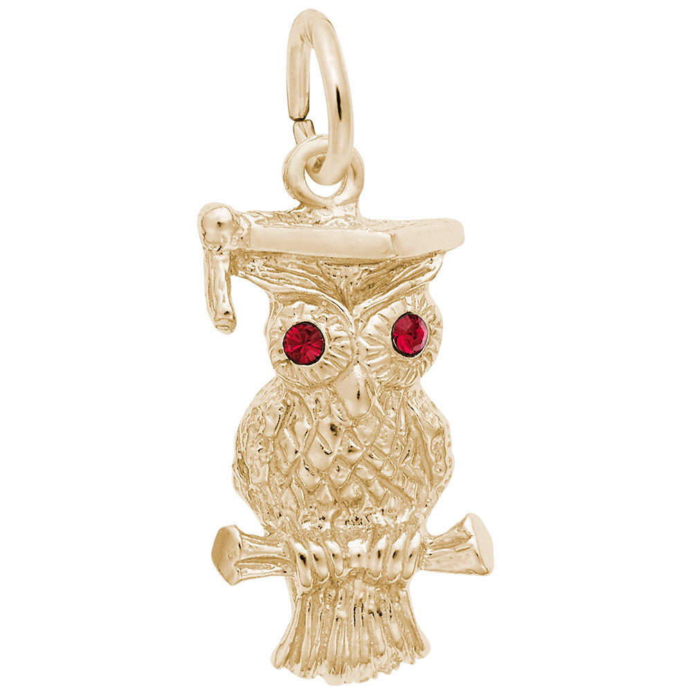 Graduation Owl Charm - Celebrate Your Achievement in Style 2596