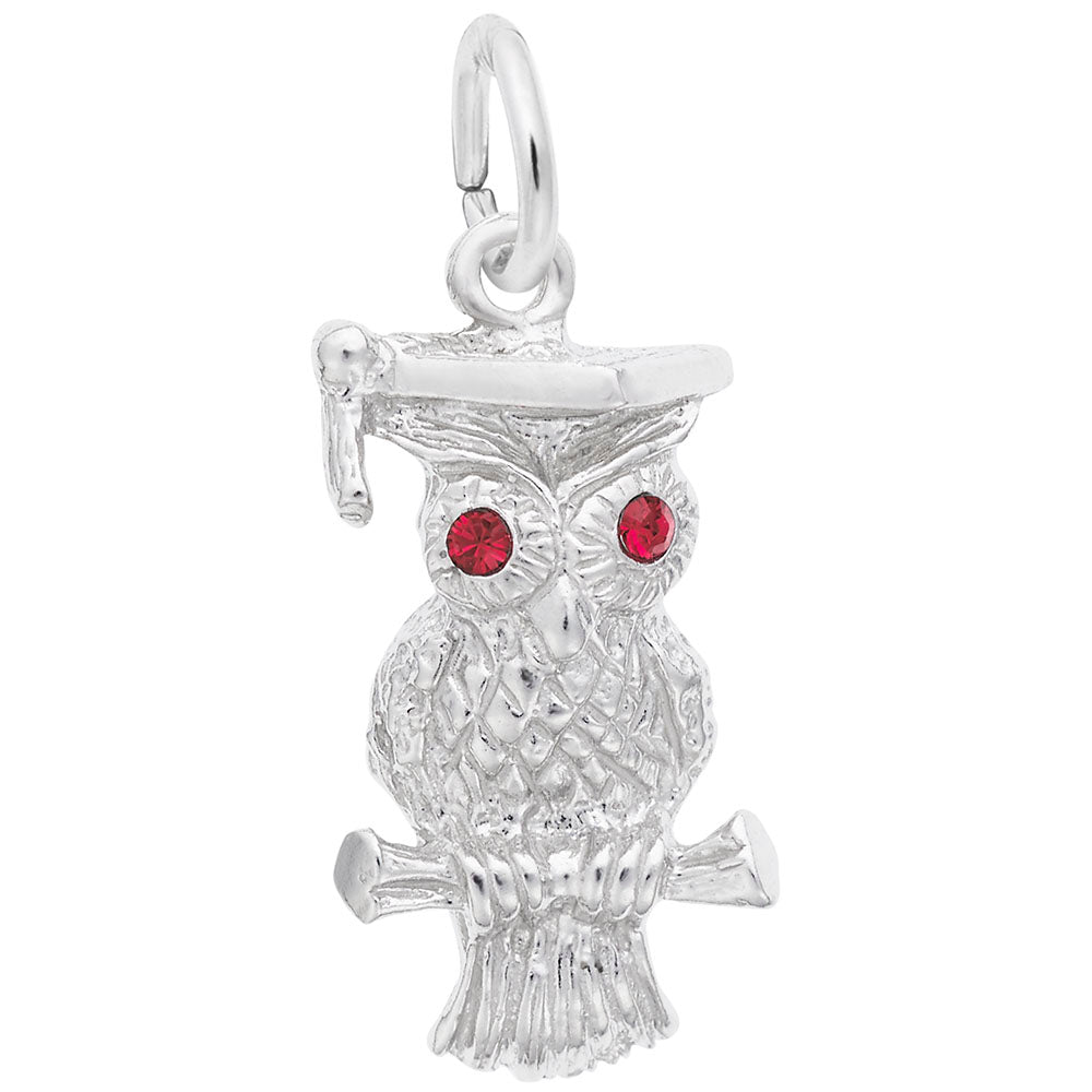 Graduation Owl Charm - Celebrate Your Achievement in Style 2596